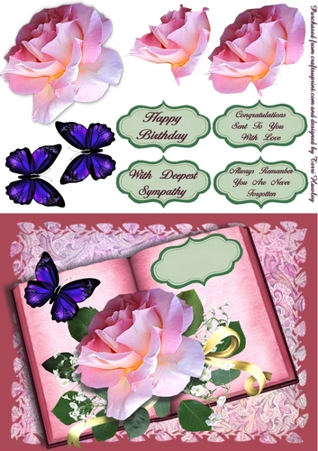rose book pink
