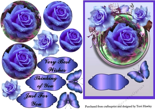 beautiful roses blue