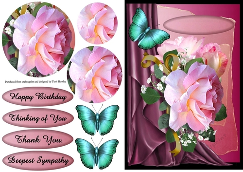 many reasons pink roses