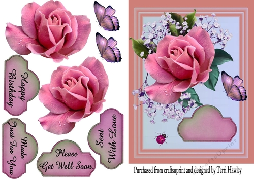 one rose just for you