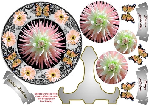 dahlia and daisy plate pink