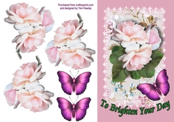 roses and butterflies brighten