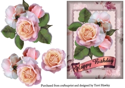 happy birthday roses