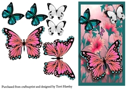 beautiful butterflies