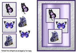 blue butterflies