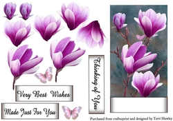 purple magnolia