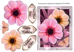 beautiful daisies