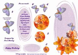 Orange Rose 23