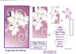 Lillys 3