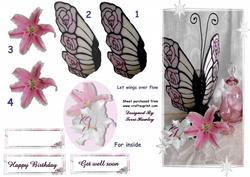 Butterfly Love