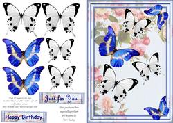 Butterflies