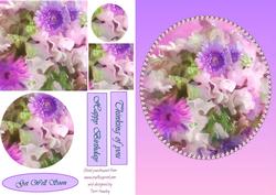Purple Plate