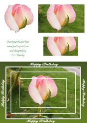 Rose Bud