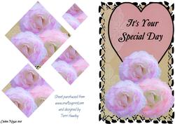 Special