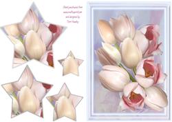Tulips Any