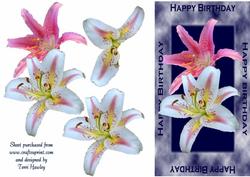 Lilies on Blue