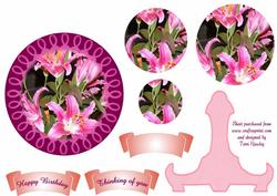 Pink Plate 1