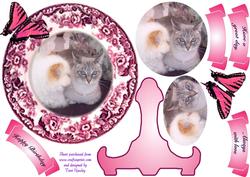 Cat Plate
