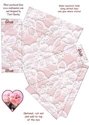 Wed Pink Lace 2