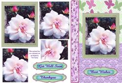 Rose Frame 2