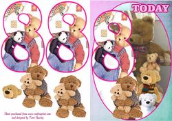 Teddy 8