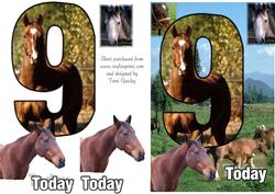 Horse 9