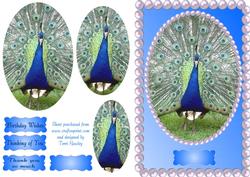 Peacock