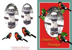 Christmas Birds