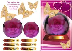 Globe Rose