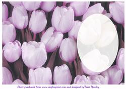 Tulips Inside Purple