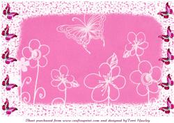 Butterfly in Pink Background