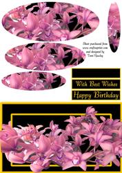 Orchid Pink and Gold