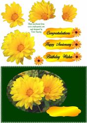 Yellow Marrigold