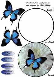 Blue Butterfly