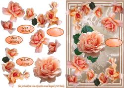 Orange Roses