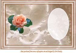 Orange Rose Insert