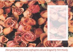 Special Couple Insert