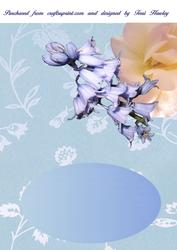 Bluebell Rose Insert