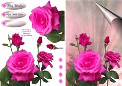 Curl Corner Rose