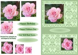 Pink Rose for Mum