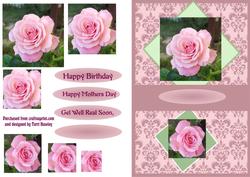 Pink Rose for Mums Birthday