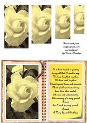 Old Rose for an Old Friend