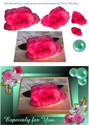 Boxed Rose