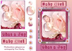 Sweet Baby Rose