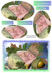 Congratulations Baby Boy or Girl
