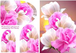 My Sweet Rose
