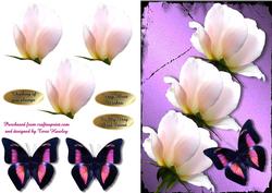 Sweet Rose and Butterfly Purple