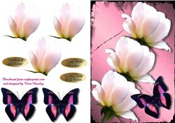 Sweet Rose and Butterfly Pink