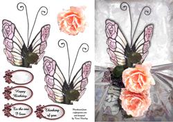 Butterfly and Sweet Rose