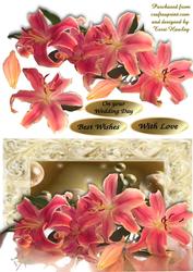 Lots of Lillies